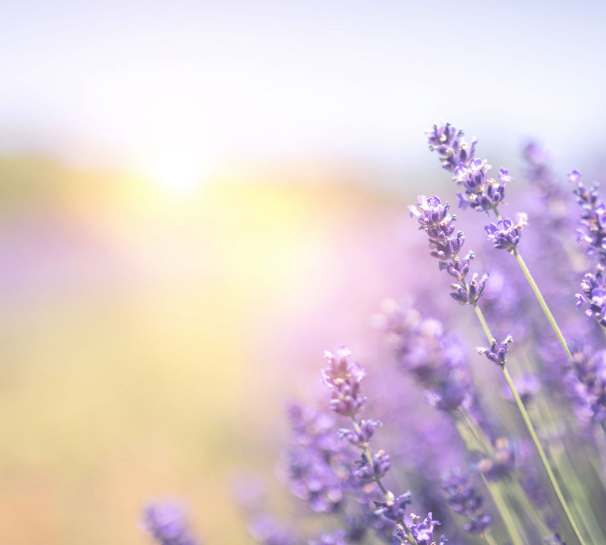 Beratung von Angehörigen von psychisch Erkrankten